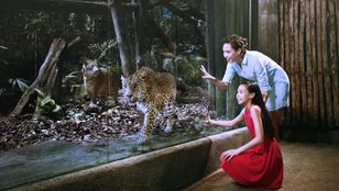 Mother-daughter duo captivated by the wonders of Singapore Night Safari, creating cherished memories amidst captivating nocturnal wildlife.